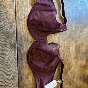 Elomi Sheer Lace Bra in Deep Burgundy